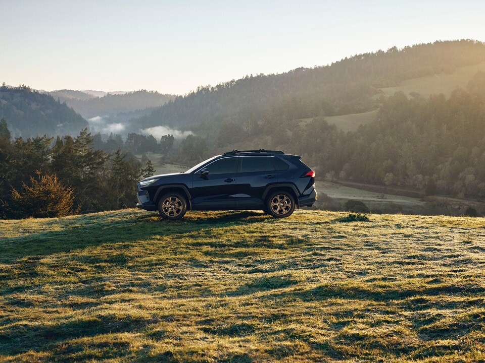 2025 RAV4 Hybrid