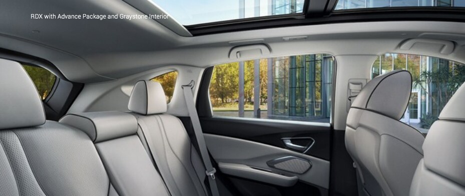 RDX with Advance Package and Graystone Interior