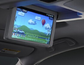 Rear Entertainment System