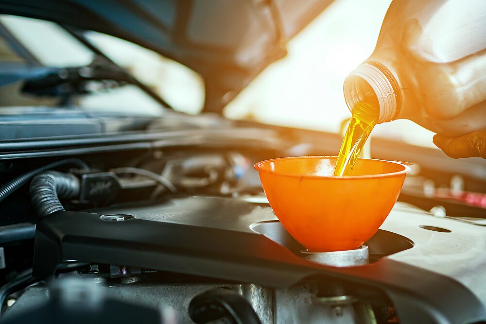 Honda Express Service