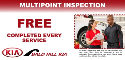 MULTIPOINT INSPECTION.jpg