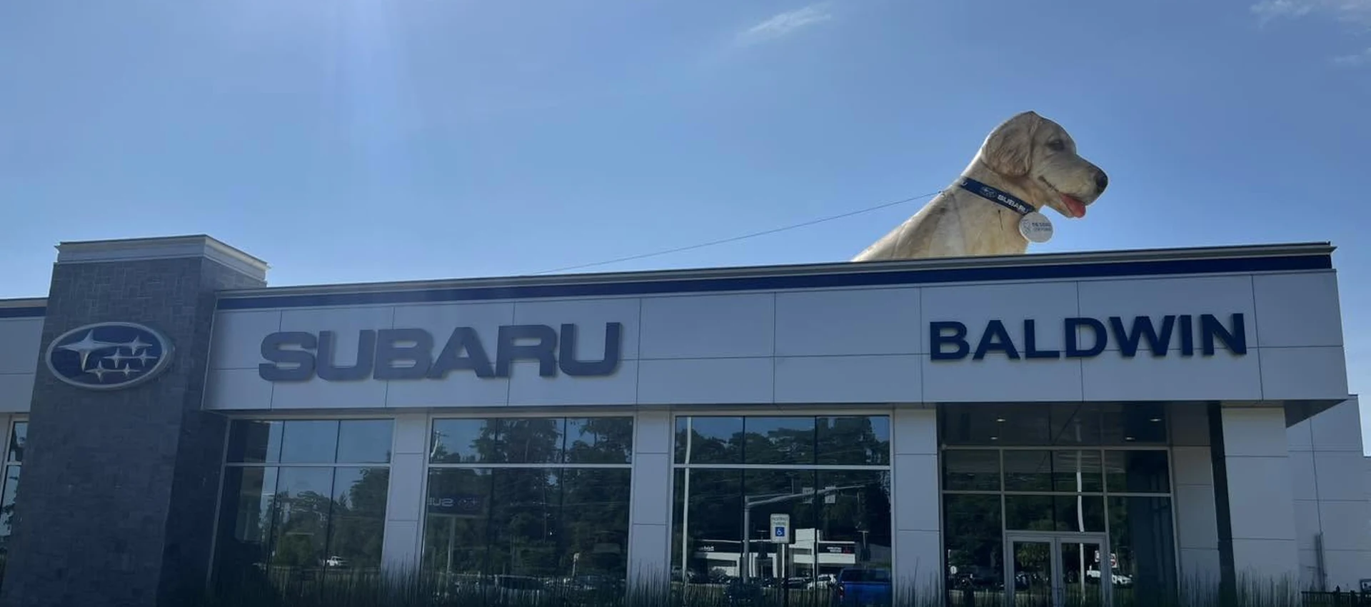 The Baldwin Subaru showroom in Covington, Louisiana, with SUBARU and BALDWIN signage above the glass storefront and a giant yellow Labrador statue on the roof