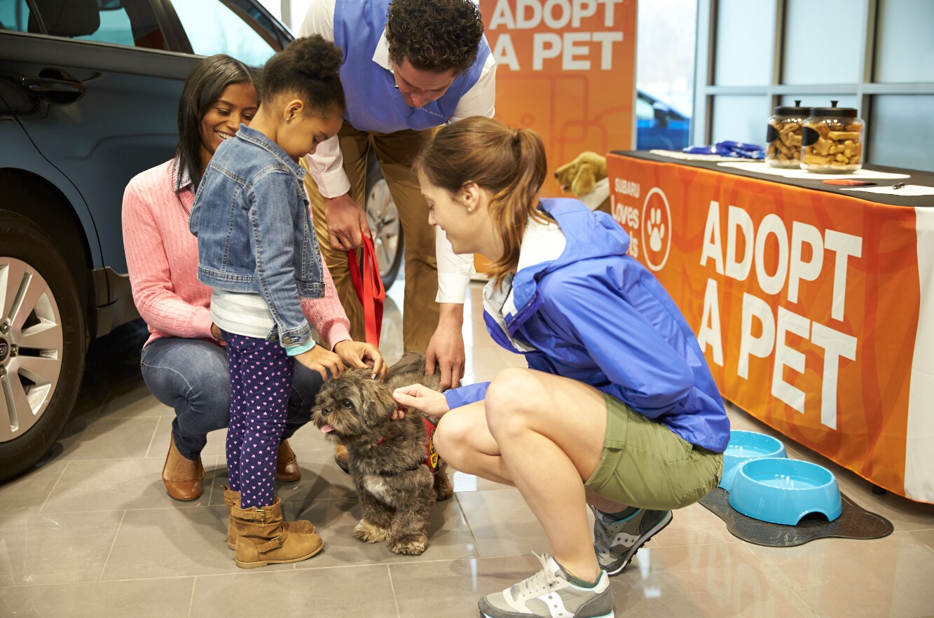 Baldwin_Subaru_Pet_Adoption_Covinton_LA.png