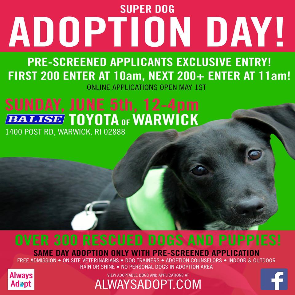 Super Dog Adoption Day | Balise Toyota of Warwick