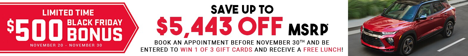 Black Friday - VLP Banner.jpg