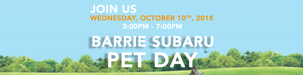 Barrie Subaru Pet Day Barrie Subaru Pet Day