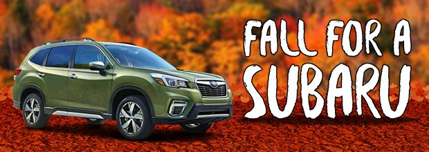 Fall for a Subaru Event