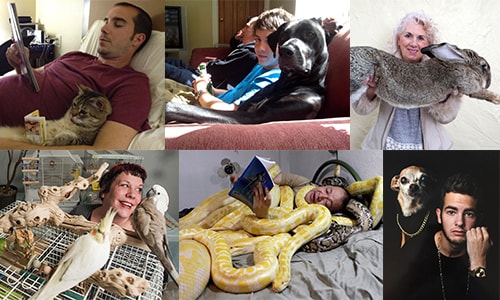Enter the Barrie Subaru Loves Pets Photo Contest Enter the Barrie Subaru Loves Pets Photo Contest