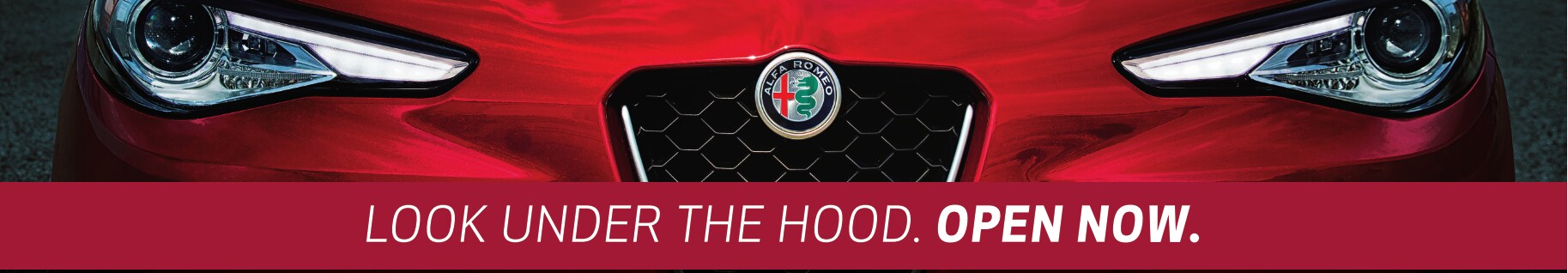 alfa marin top.png
