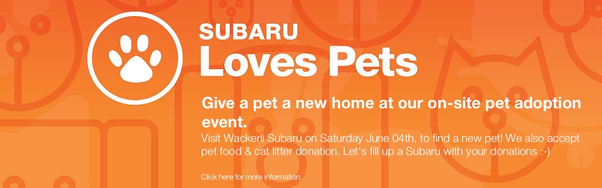 Subaru loves Pet - Adoption day