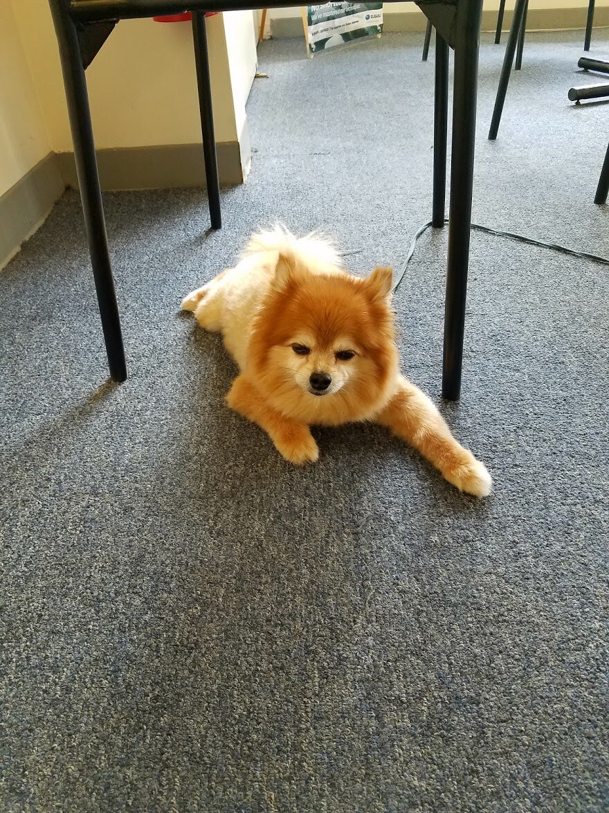 20160810_111601.jpg