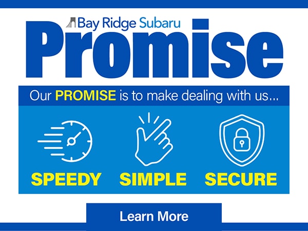 BRS-1264%20PROMISE%202025%20600x450.png Bay Ridge Promise