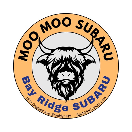 Moo Moo Subaru Brooklyn NY