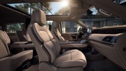 Panoramic Vista Roof (250x142).jpg