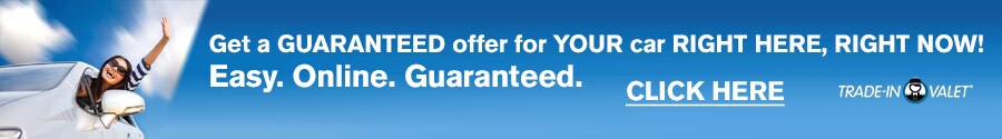 trade in valet.pdf