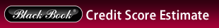 310x40-blackbook_creditscore_jaguar.png