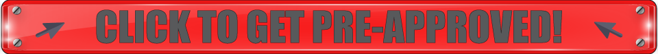 Bear-VLP-Banner.png
