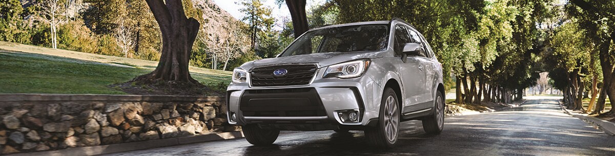 forester1.png
