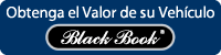 200x50-darkblue-esp - Copy.png