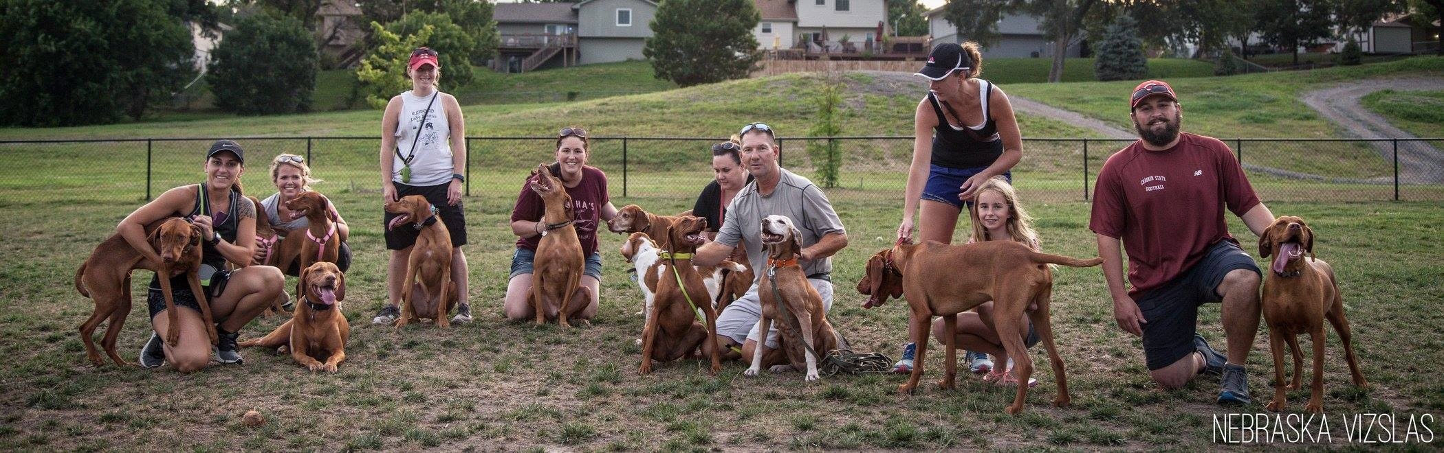 beardmore subaru dog park.jpg Beardmore Subaru Dog Park