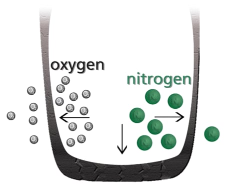 nitrogen.gif
