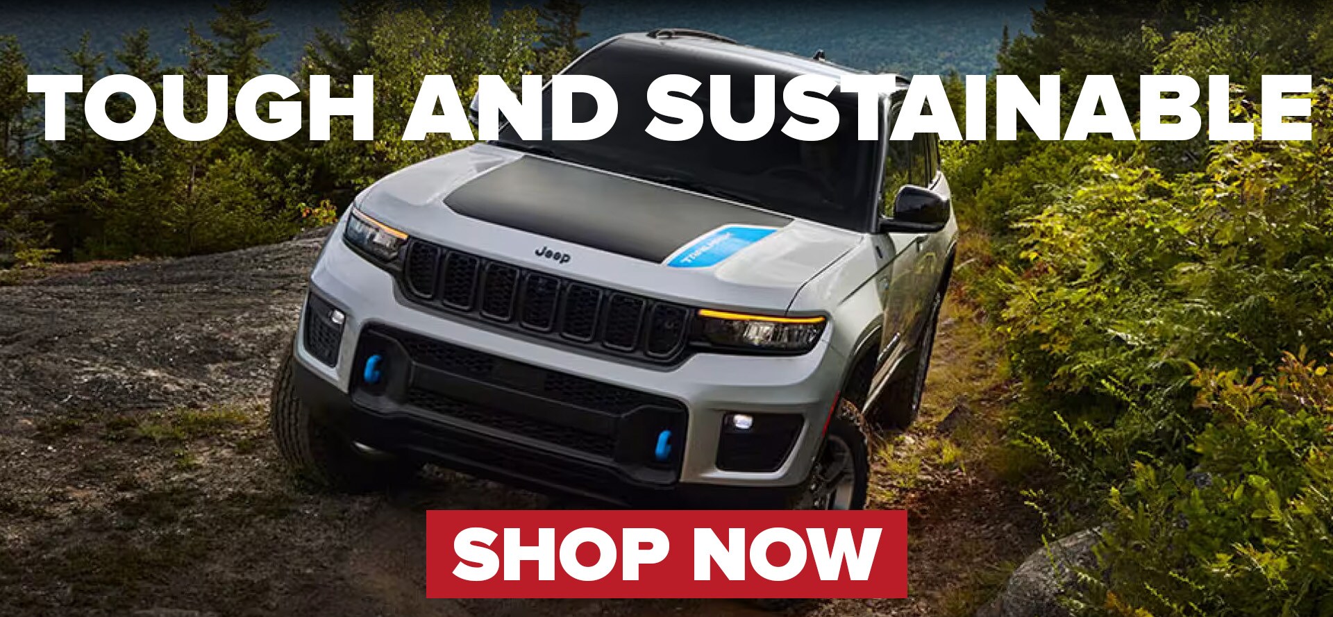 EV Affordability EV Affordability