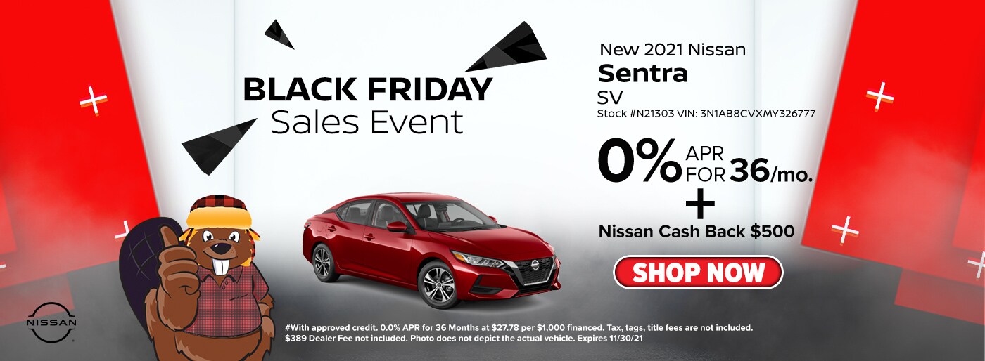 Black Friday Sales Event