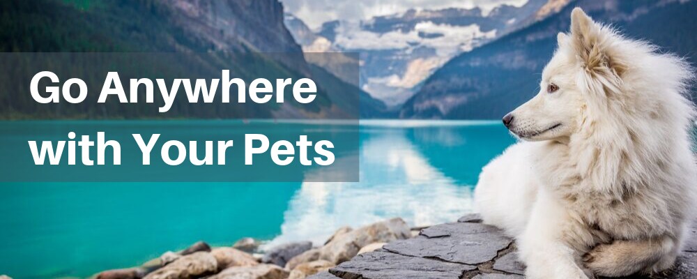 Go Anywhere with Your Pets.png