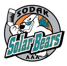 solarbears.jpg