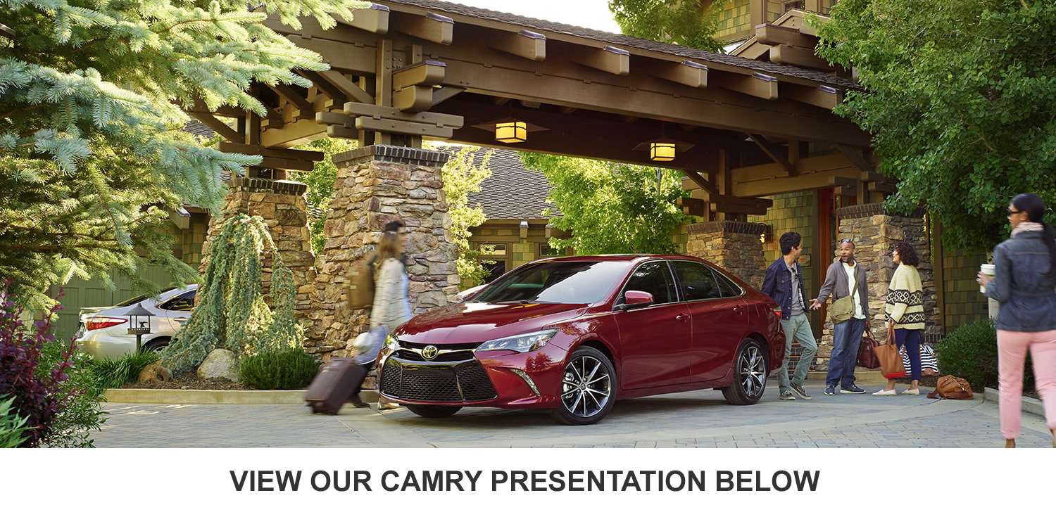 camry-inclusion-bg.png