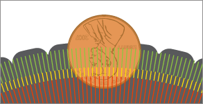 Step 3 of the Penny Test