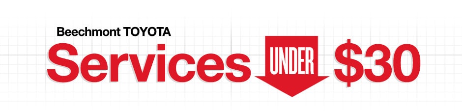 Cincinnati Toyota Services Under $30.00 Cincinnati Toyota Services Under $30.00