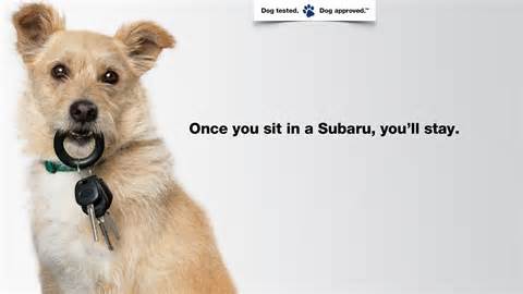 Pet Friendly 2.jpg