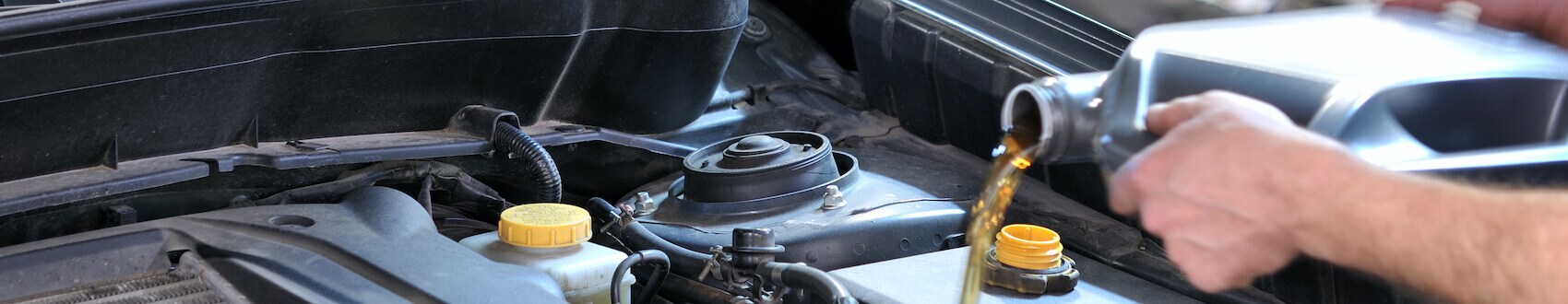 Oil Change near Arlington WI