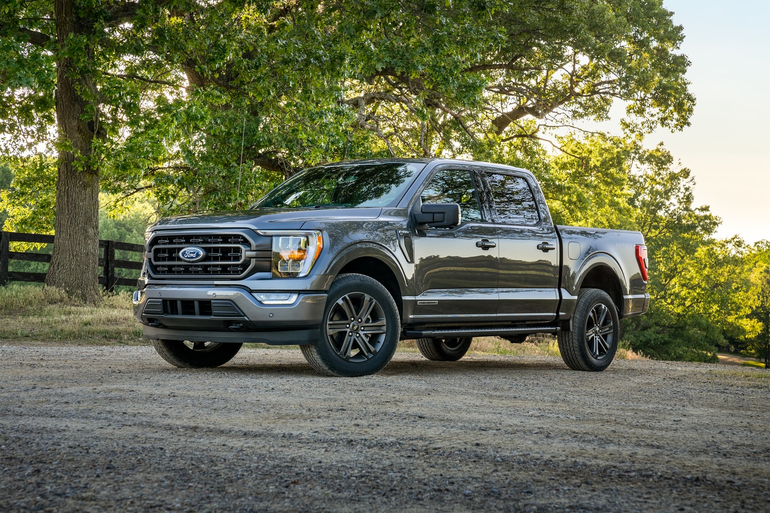 2021-Ford-F150-XLT-Base-CrewCab-Truck-L01.png dark grey Ford F-150 truck sitting on pavement next to a park.