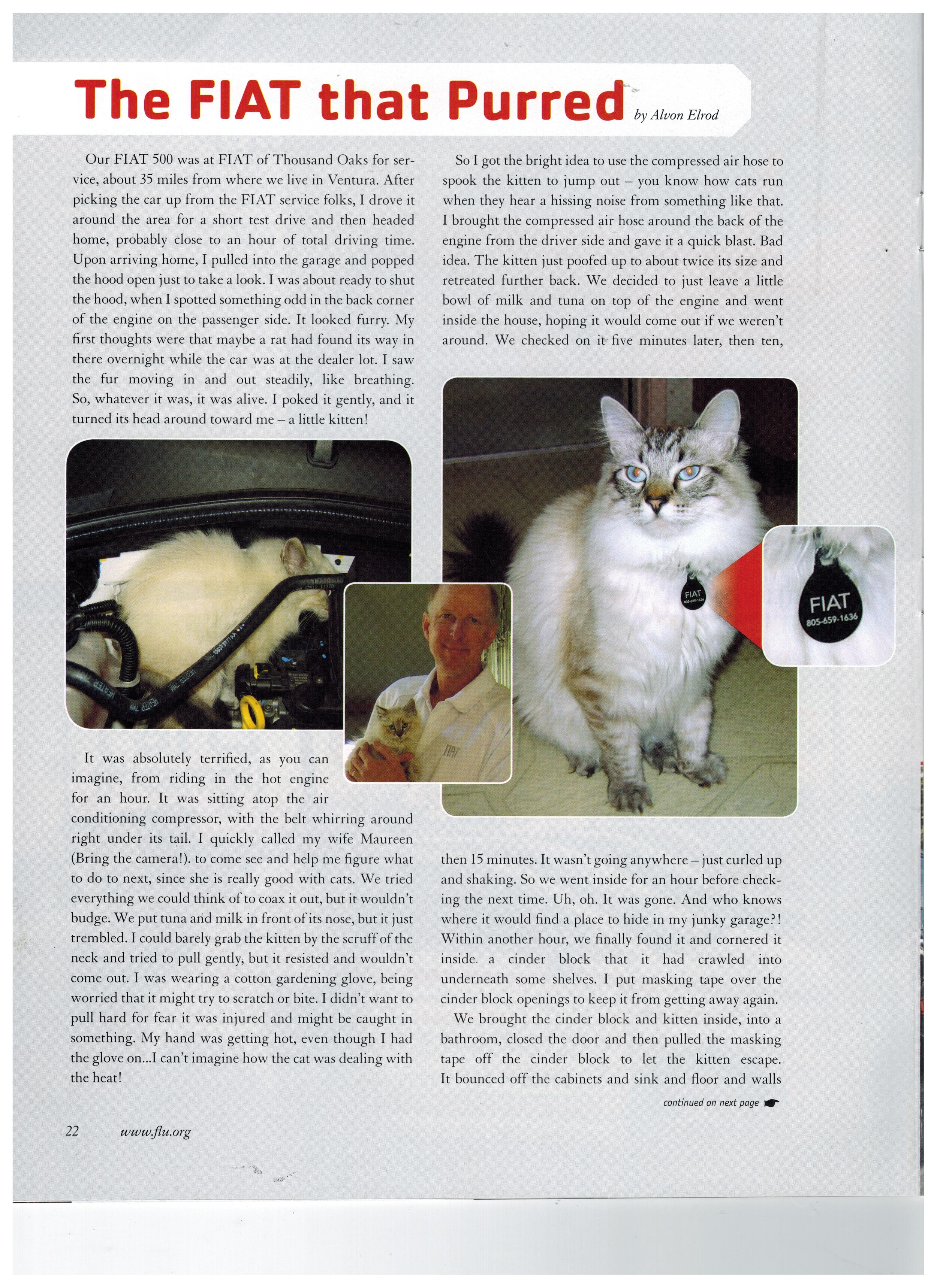 Fiatcatstory.JPG