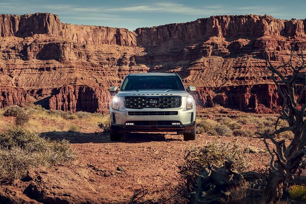 New Kia Telluride near Greer