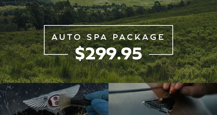 DC_Specials_Service_Spring18_detailpackage.jpg