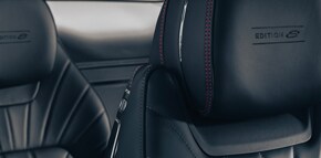 Edition8-headrest.jpg