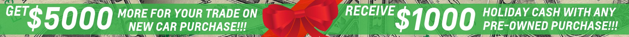 Homepage_christmas_banner_update.png
