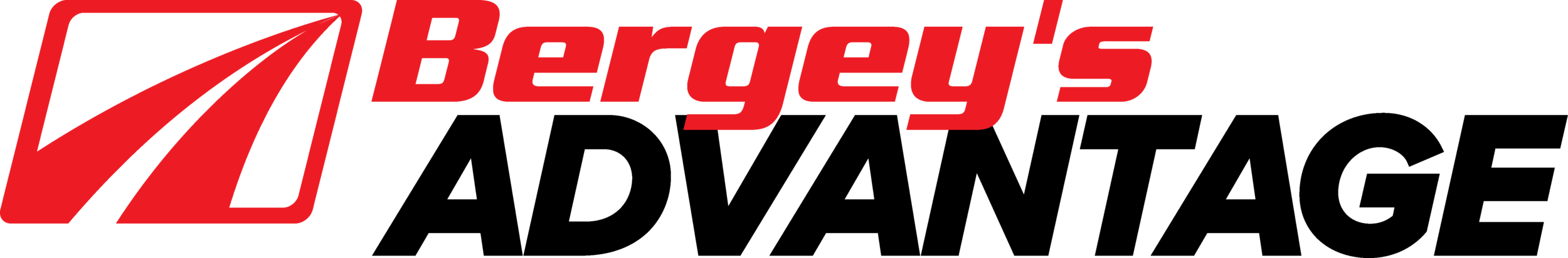 Bergeys_wLogo_Advantage_RedBlack_V1.2_bold-V1.png