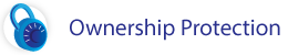 Bergstrom Automotive Ownership Protection