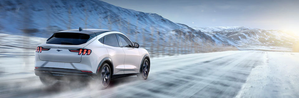 Year Make Model Exterior
