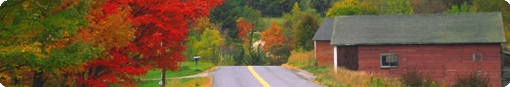 Aboutusroad.jpg
