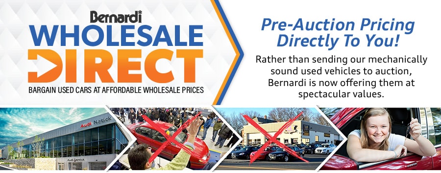 BAGR-WHOLESALE-AUDI-LP-01.jpg