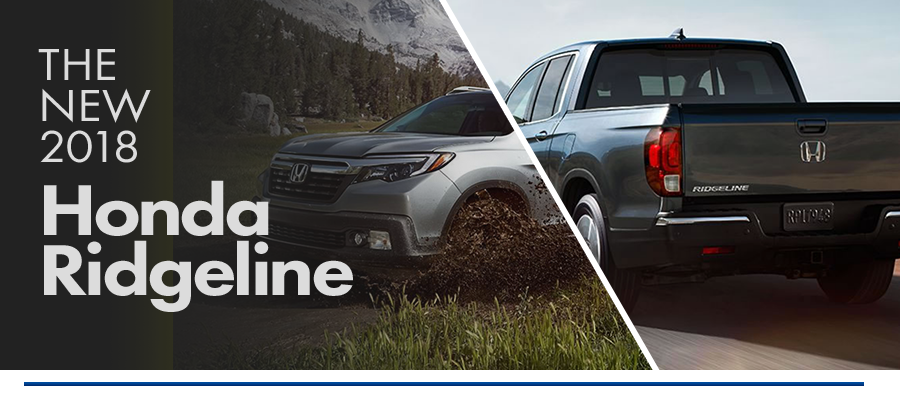 BHON-RESEARCH-PAGE-RIDGELINE-01.png