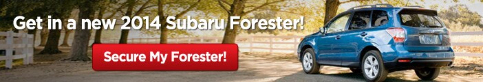 2014 Subaru Forester in MA