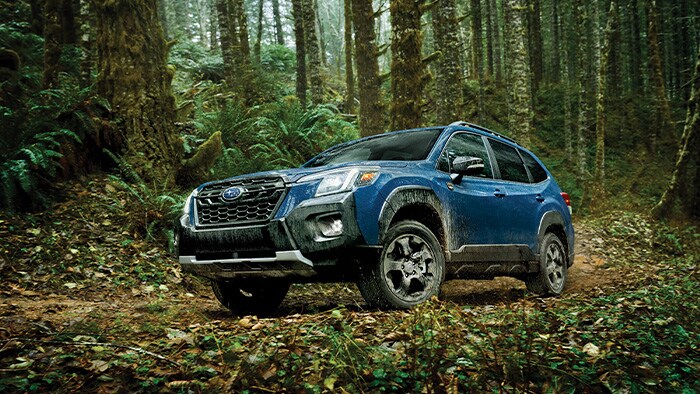 ForesterHeroSmall.jpg