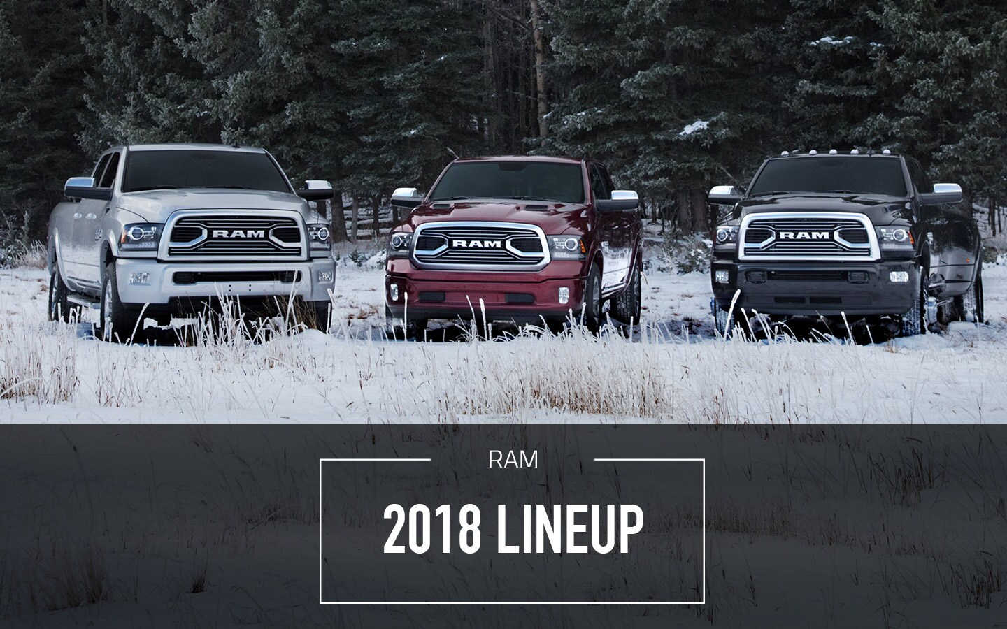 Bert Ogden RAM Lineup Bert Ogden RAM Lineup