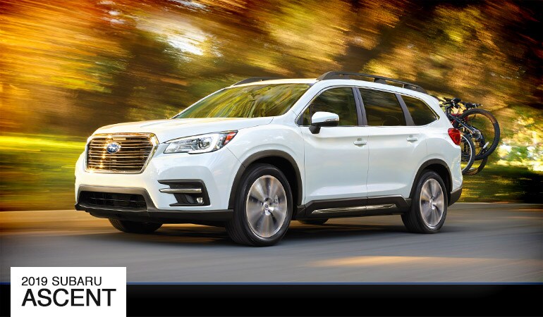 Bert Ogden Subaru | 2019 Ascent Bert Ogden Subaru | 2019 Ascent